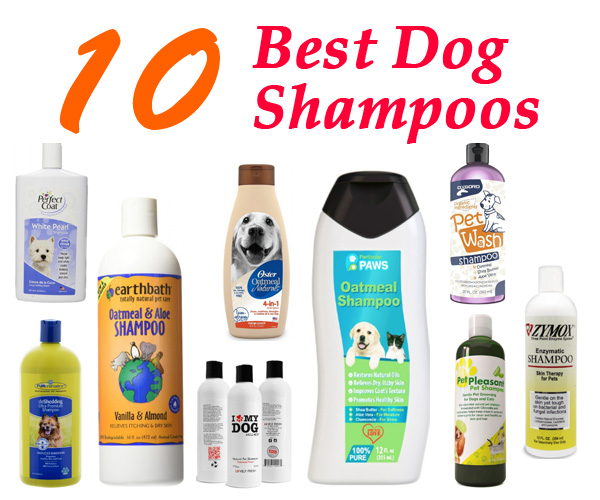 Top Rated 10 Best Dog Shampoos 2024 Best Pet Shampoos Reviews Her