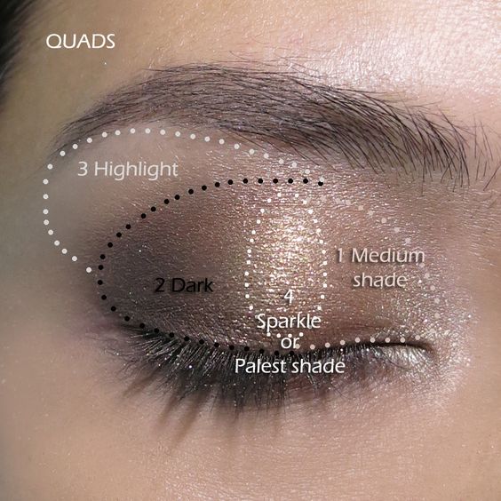 how to put on eye makeup for beginners