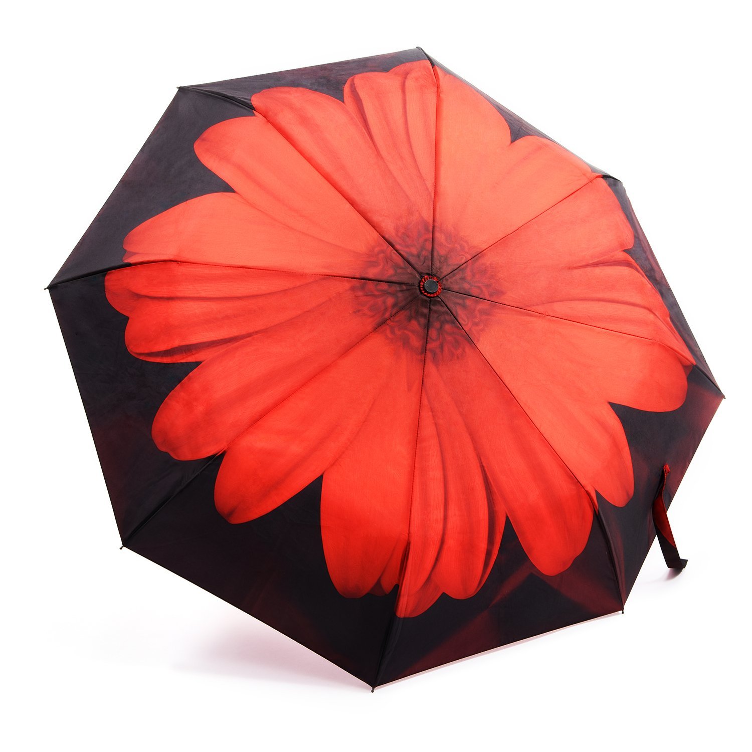 Top 10 Best Umbrellas 2024 Top Rated Umbrellas You Can Buy Her