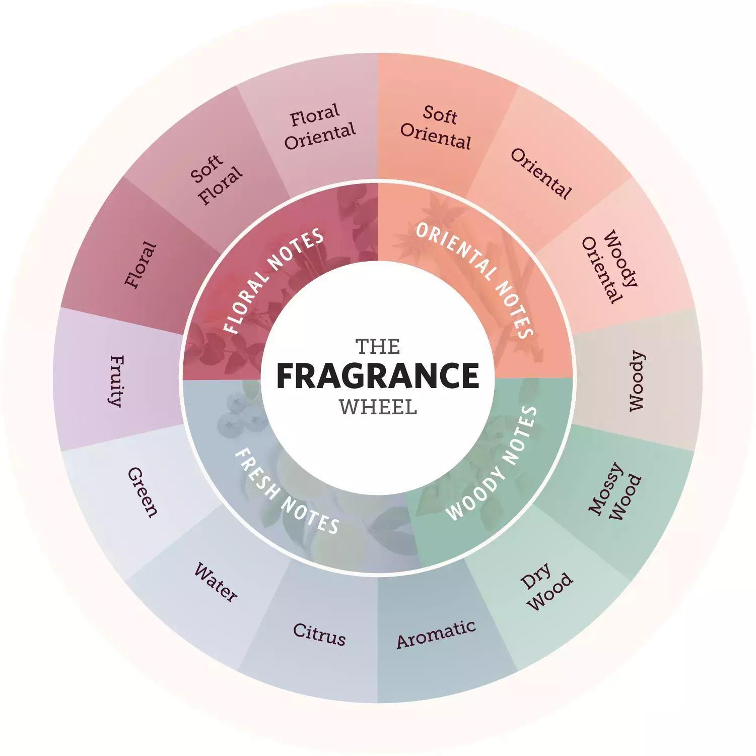 Perfumes Fragrance Wheel