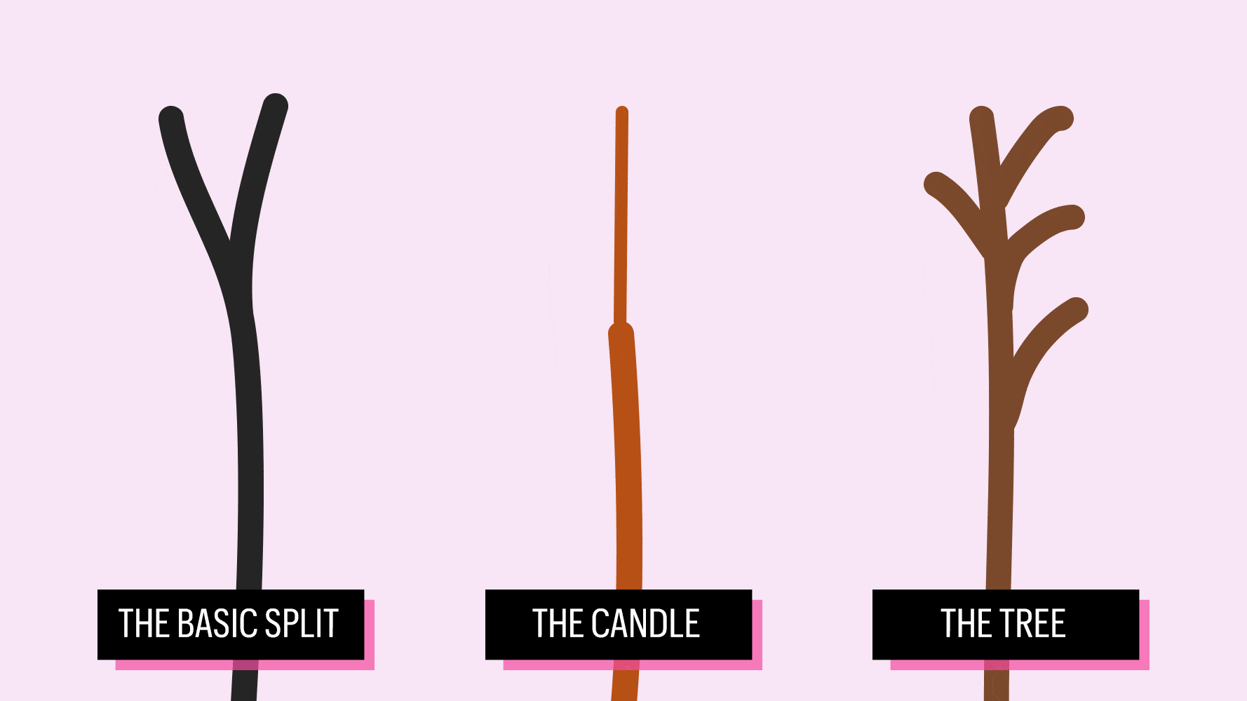 Different Types of Split Ends and What They Mean