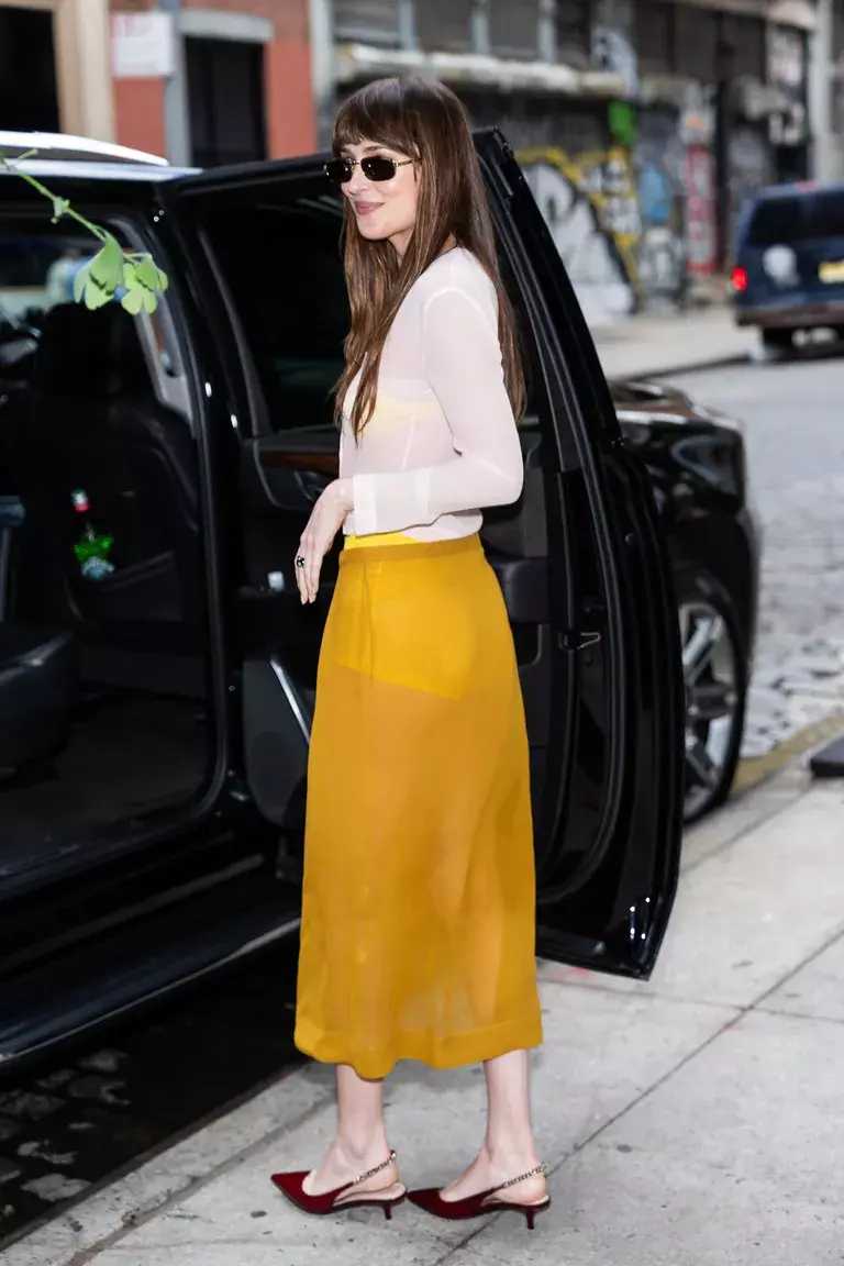 Dakota Johnson style