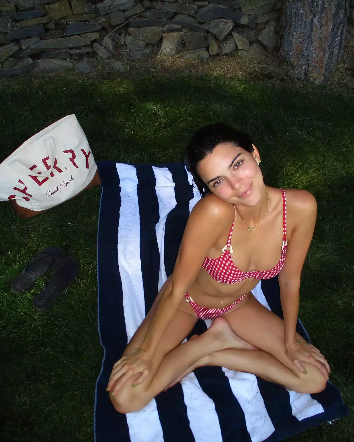 Kendalls Red Gingham Bikini