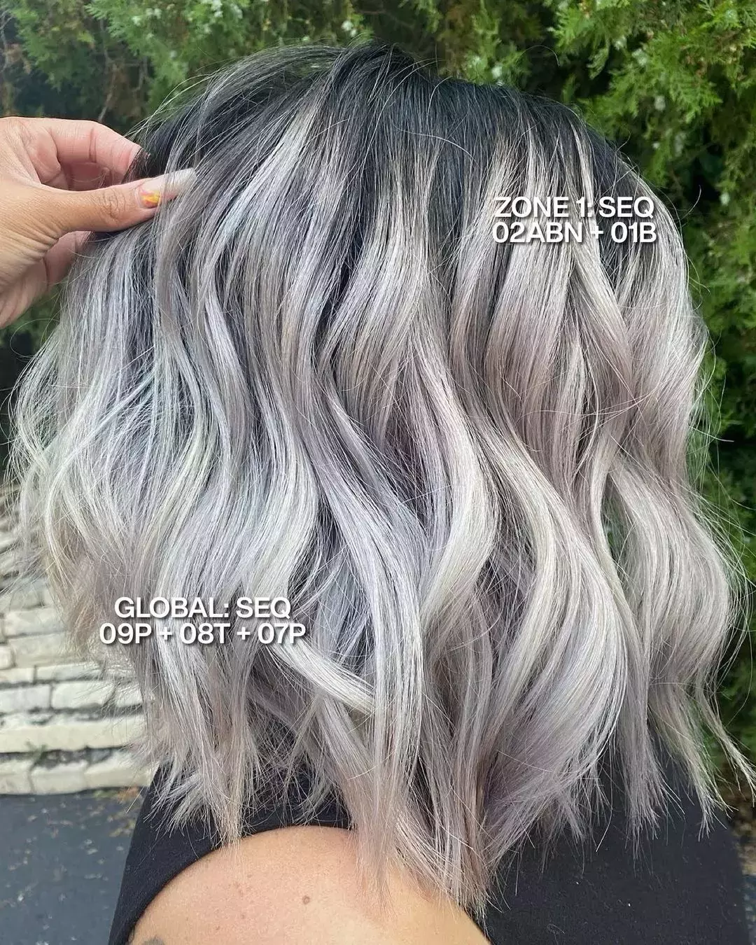 Rooted Ash Gray Color