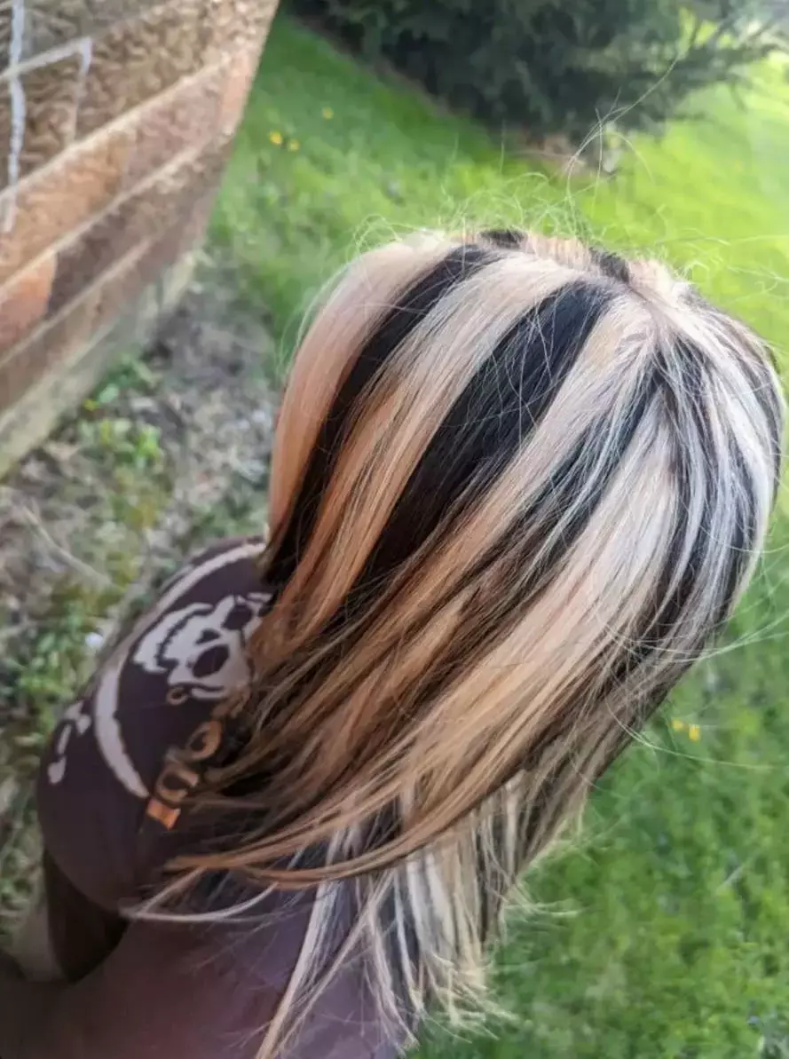 Skunk Stripe Hair Ideas