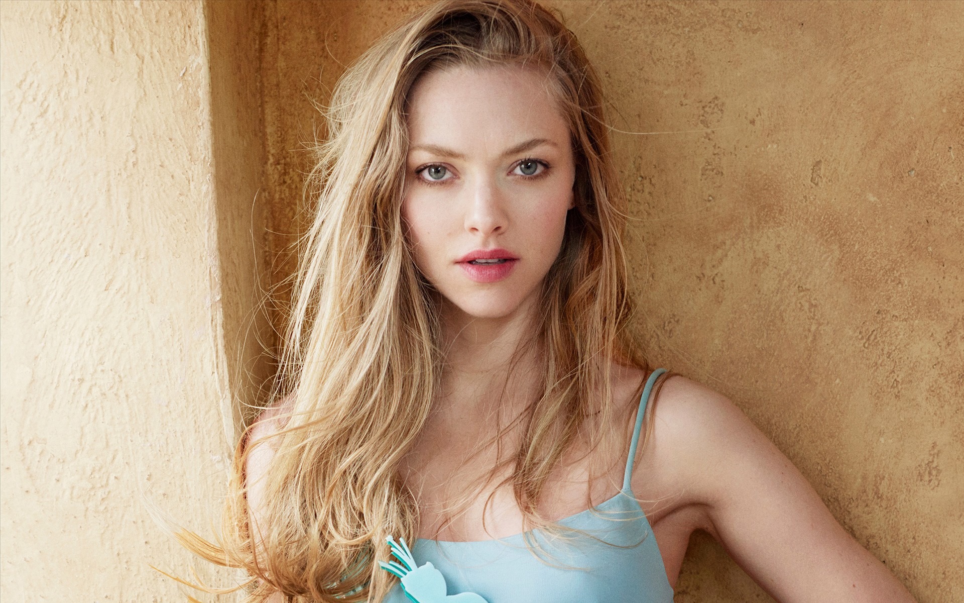 Amanda Seyfried