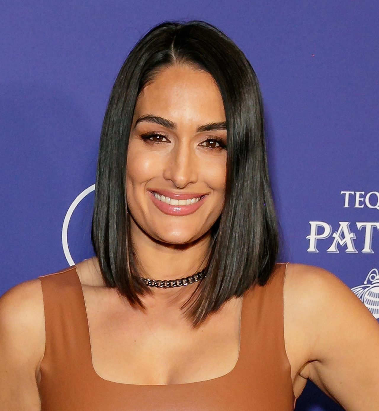 Brie Bella And Nikki Bella Sports Illustrated Super Bowl Party In La