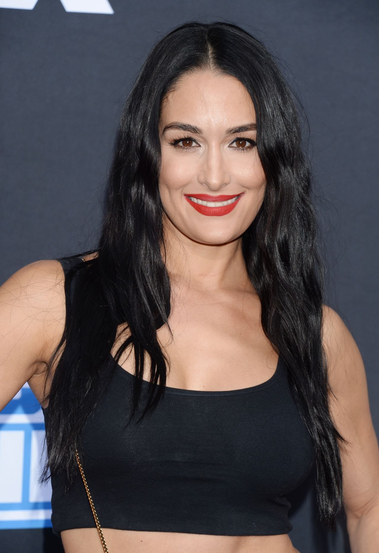 Nikki Bella And Brie Bella Wweth Anniversary Celebration In La