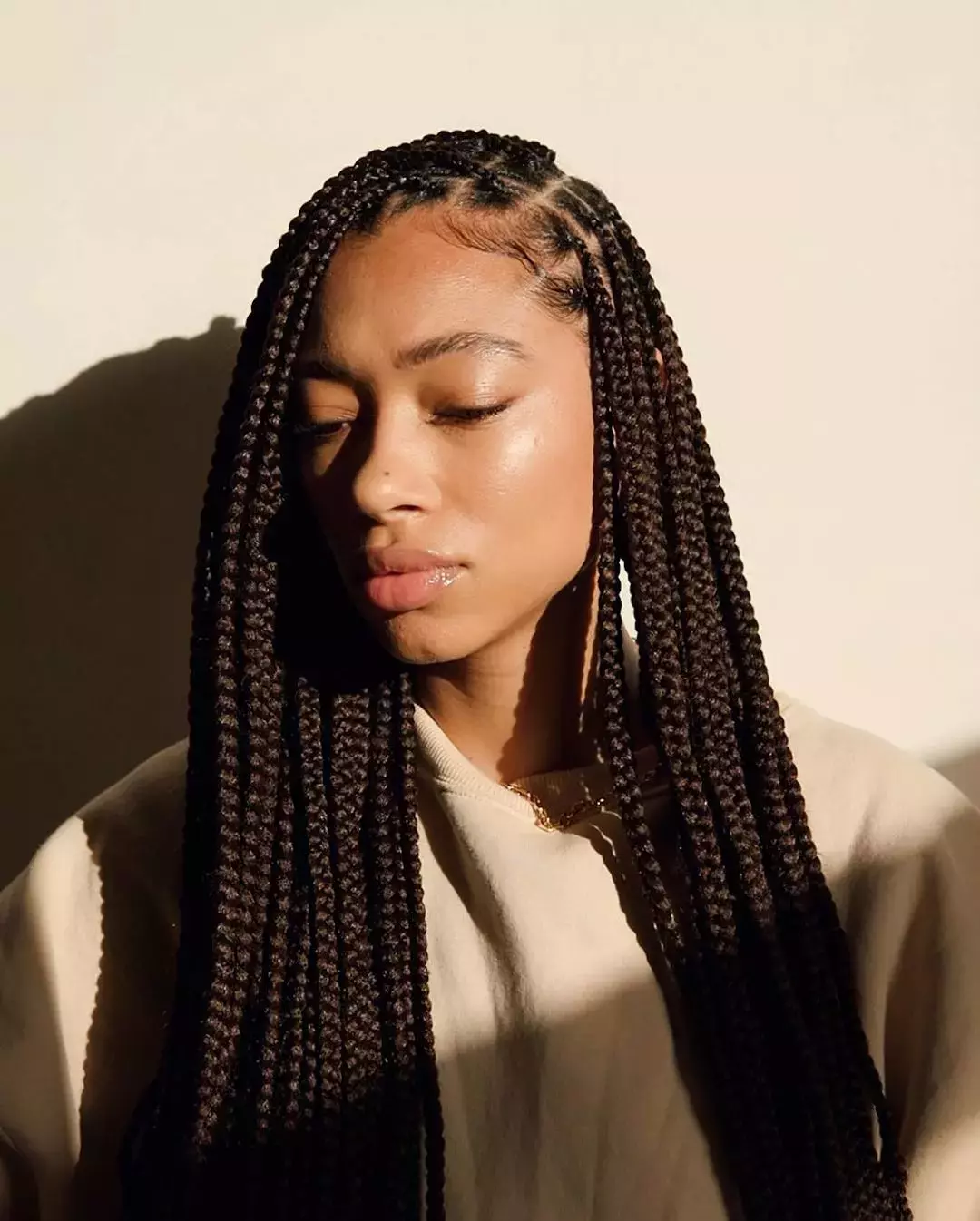 Festival Hair Idea Box Braids