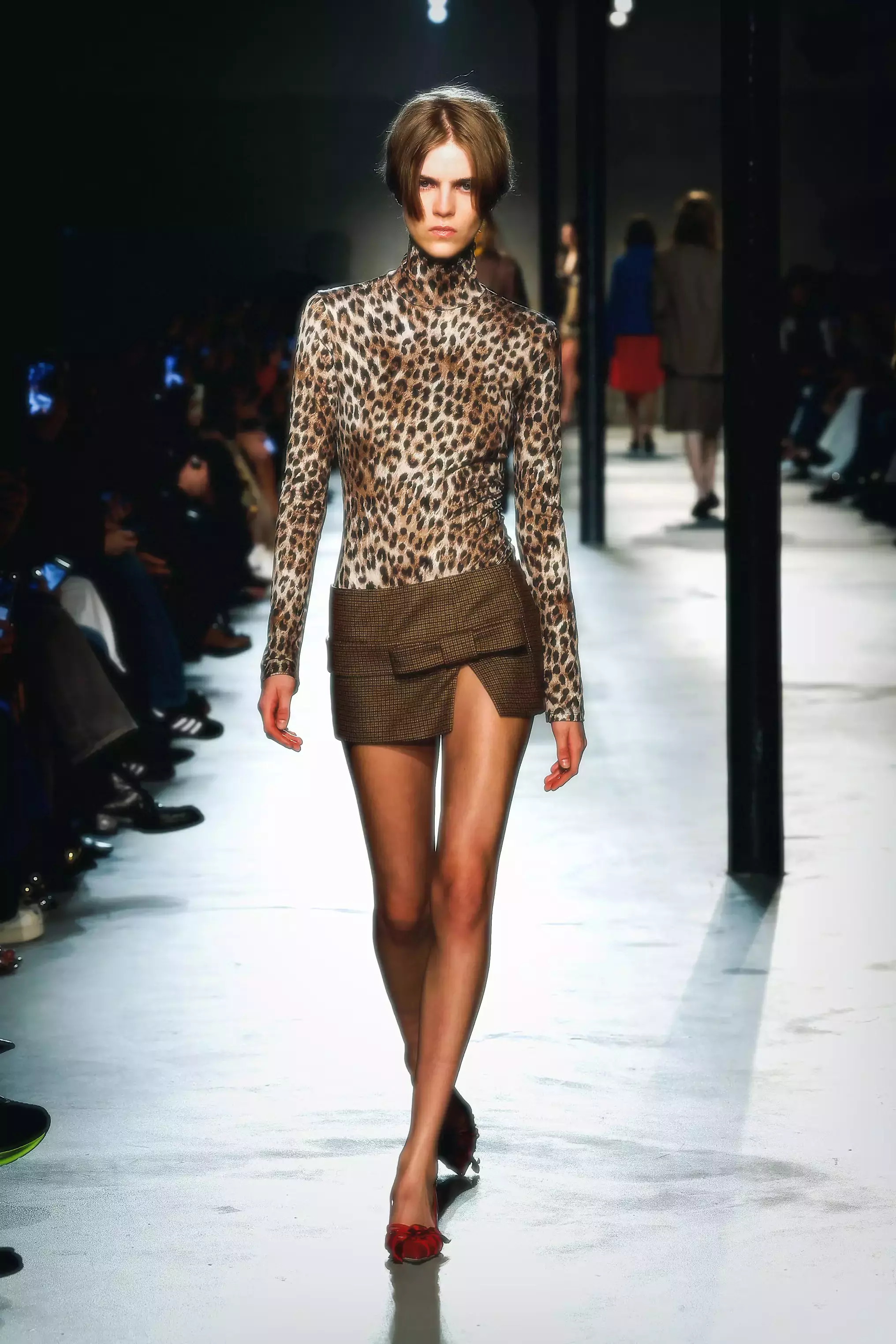 Leopard