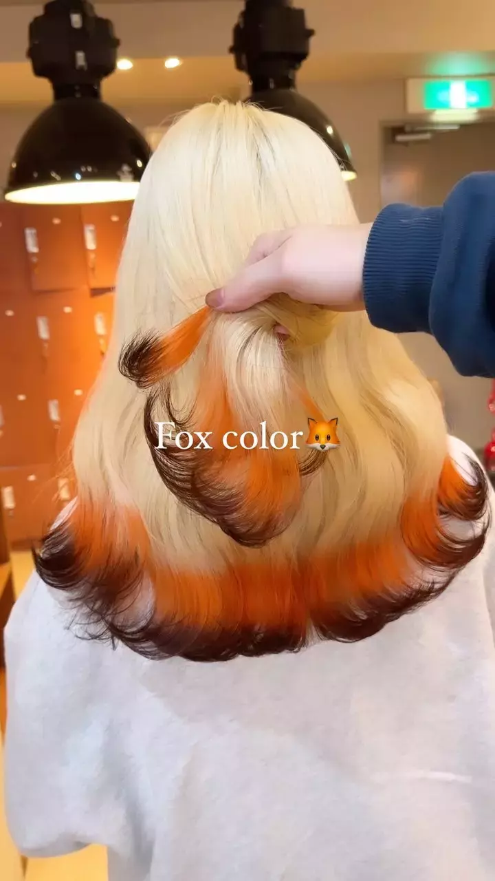 This Fox Colored Hair For Winter