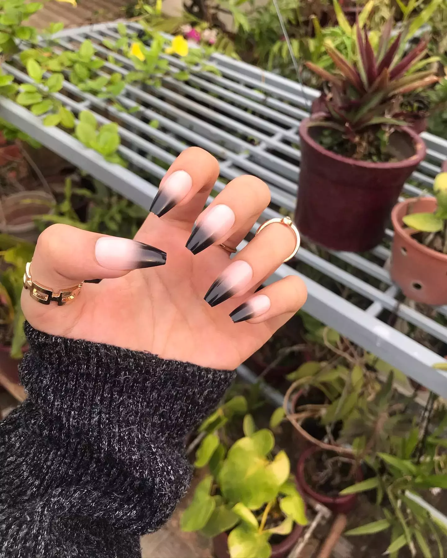 Black And Clear Ombre Mani