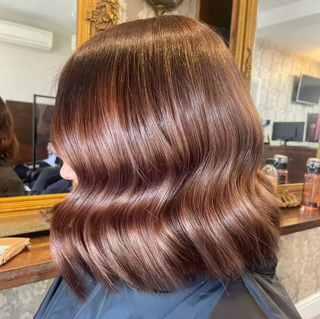 Chestnut Copper Brown