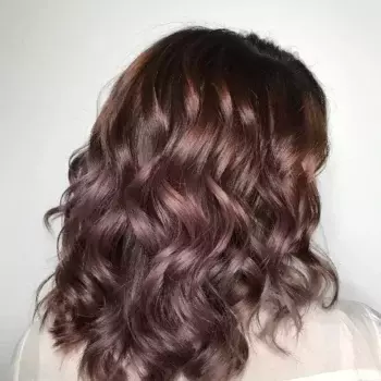 Chocolate Mauve