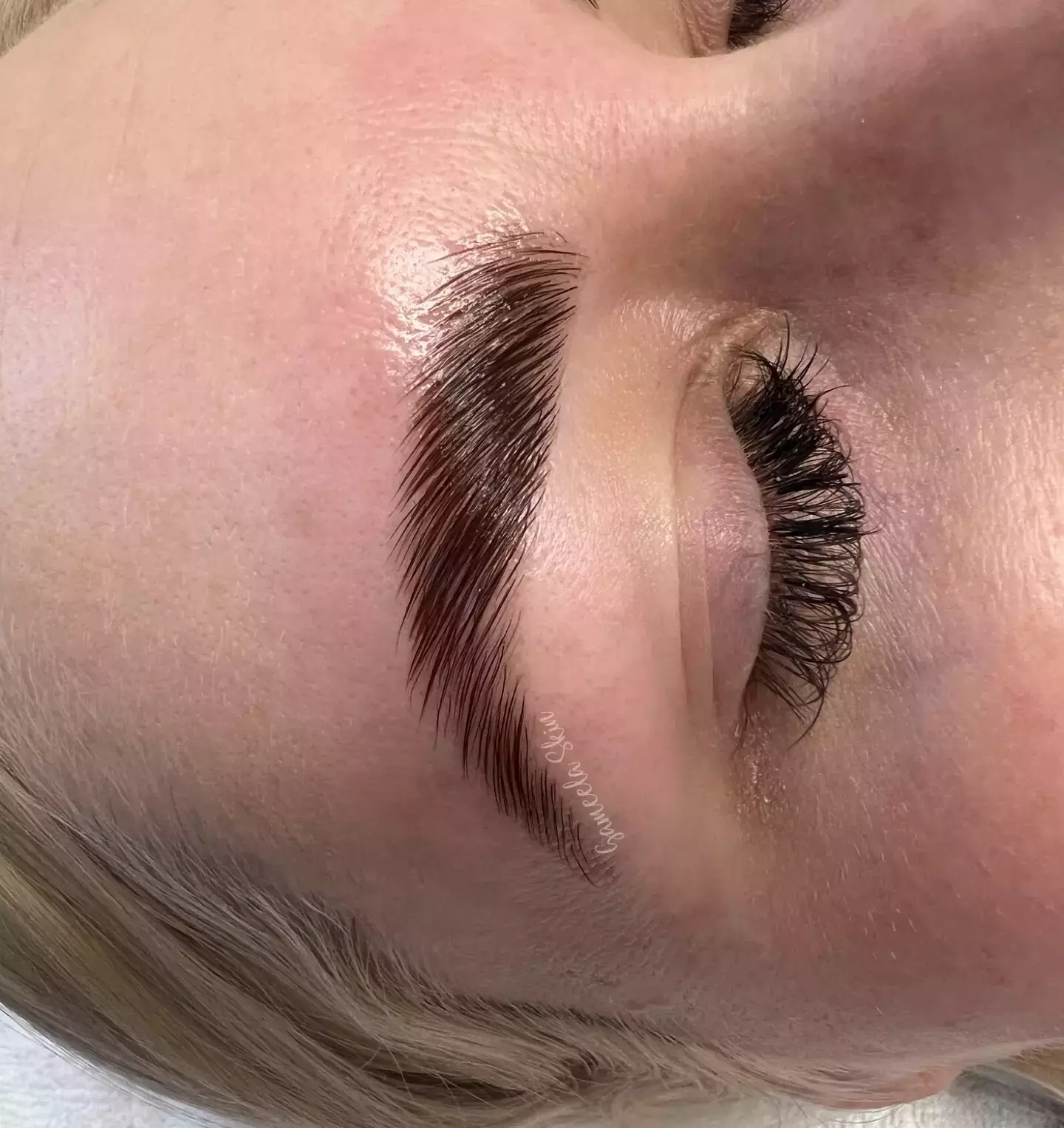 Glossy Laminated Brows