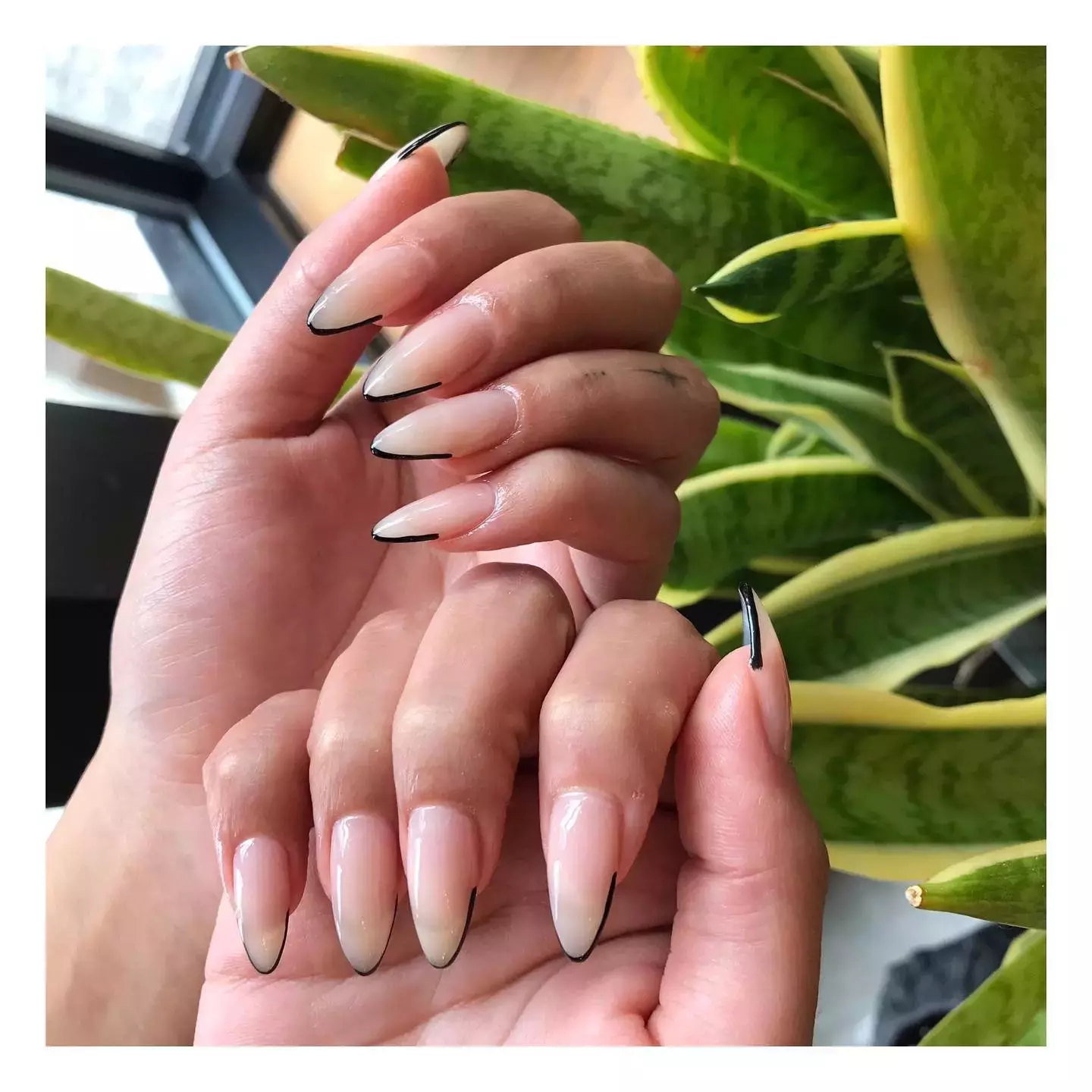 Minimalist French Manicure