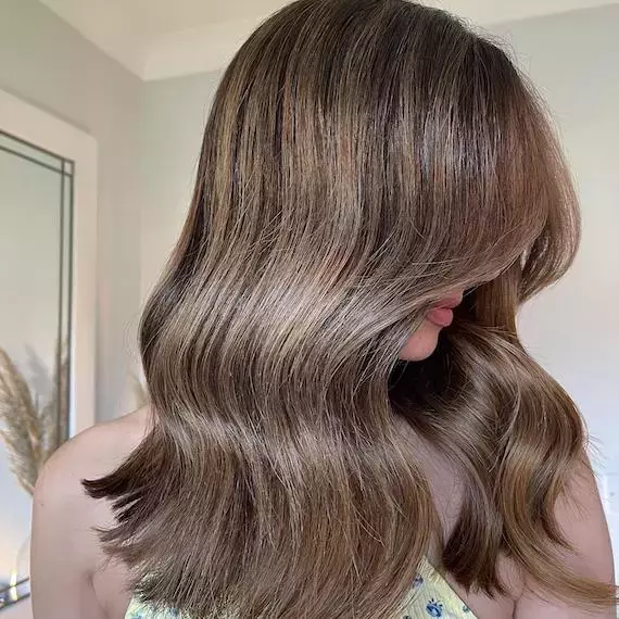 Mocha Brown With Ashy Highlights