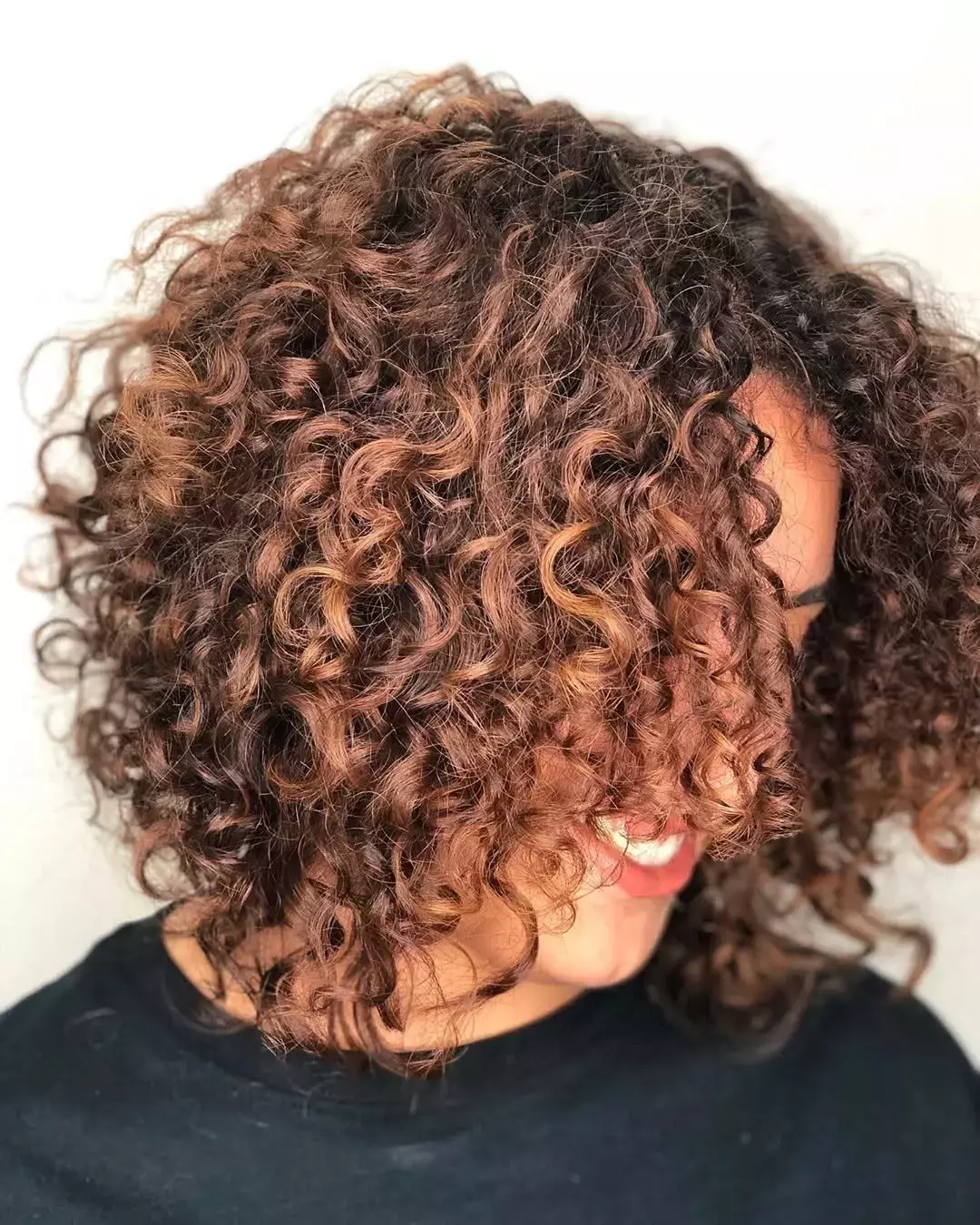 Curly Chestnut