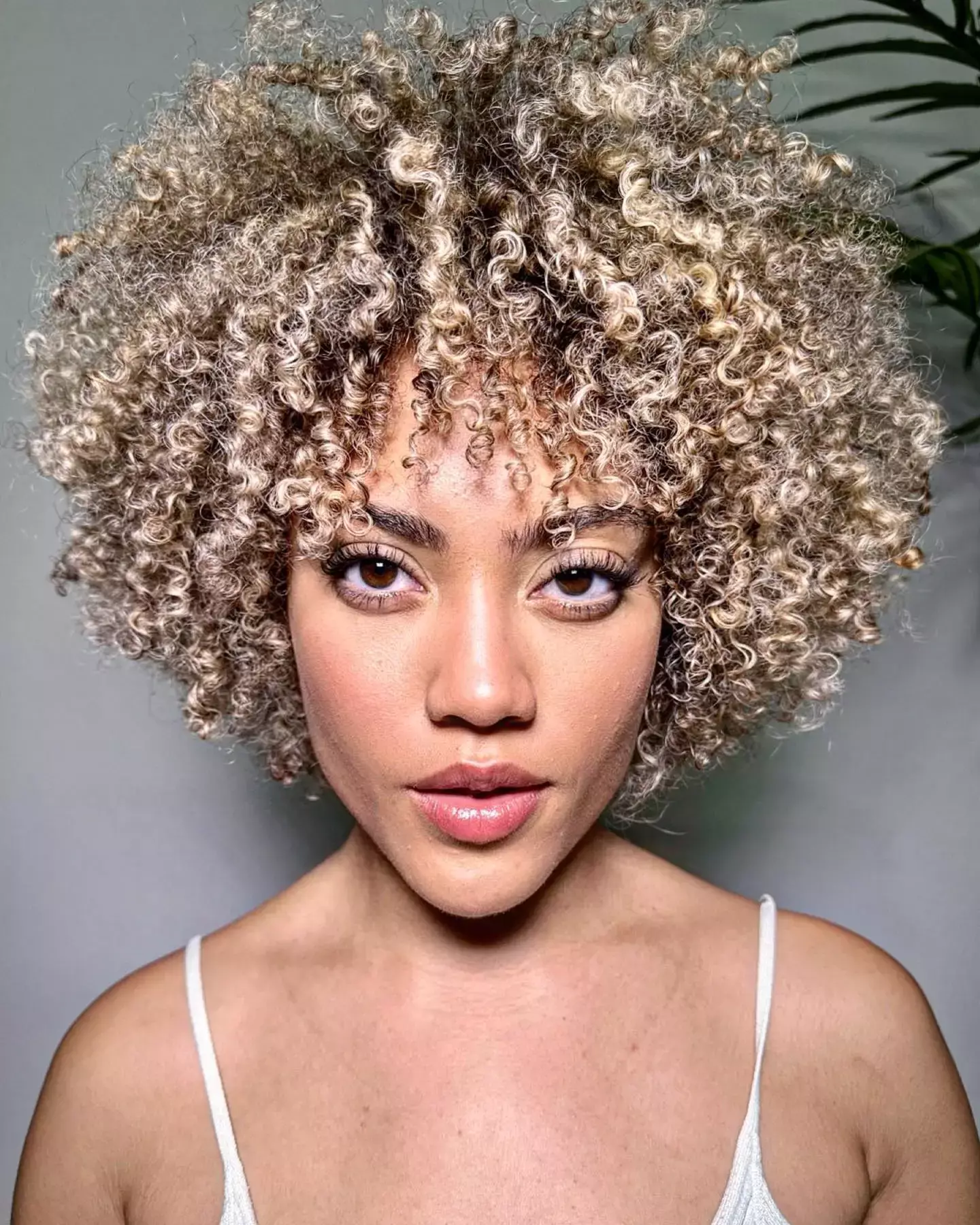 Ash Blonde Afro