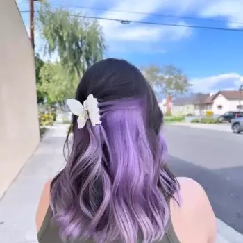 Lavender With Brunette Hair